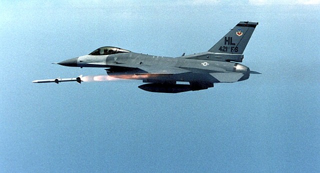 銃とサフランと同士討ち アフガン 北の国から猫と二人で想う事