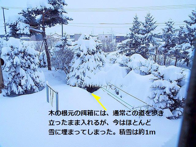 DSCF7173