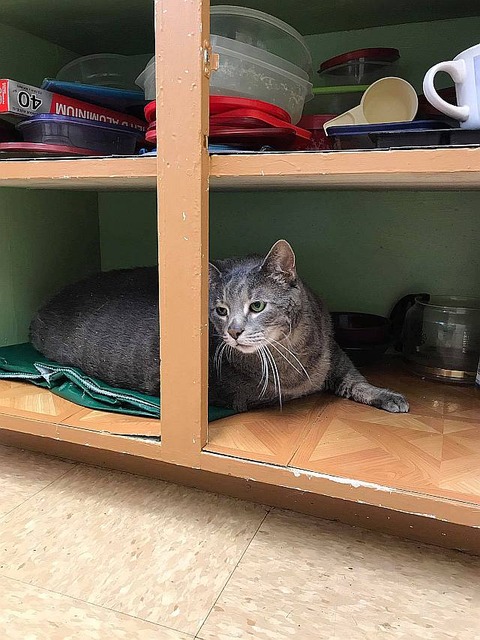 20157538_1443074689119897_7742412928599438863_o