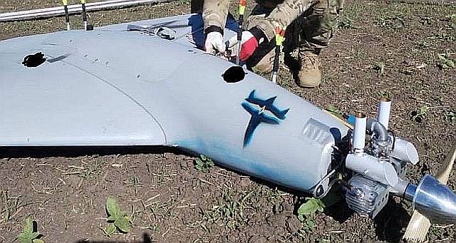 photo_2025-07-29_15-49-13-1