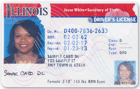 illinois_drivers_license