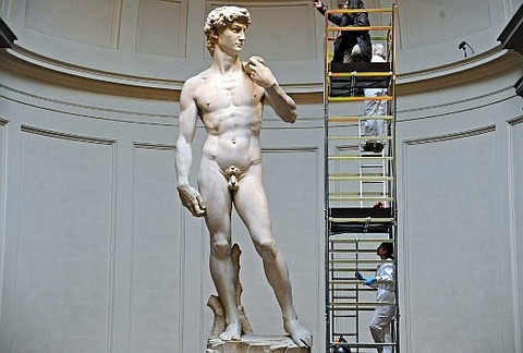 david