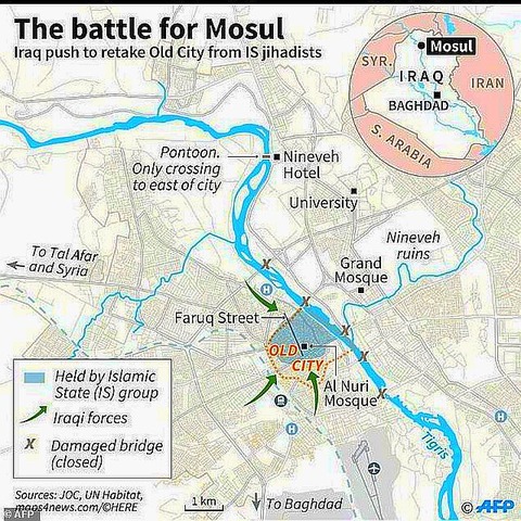 wire-806891-1497894548-449_634x634