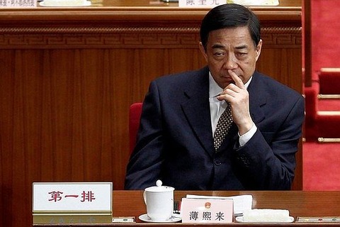 WO-AO703_CTRIAL_G_20130724224340