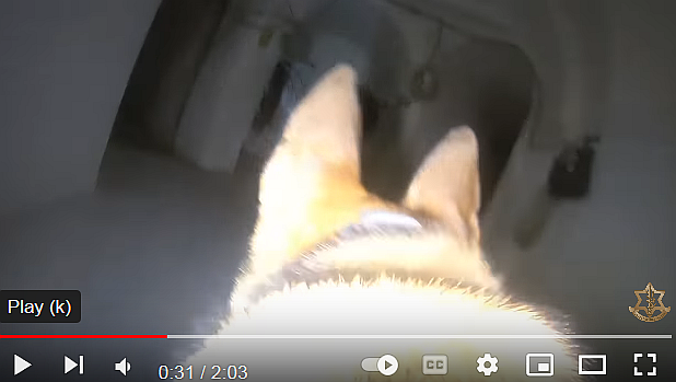 FireShot Webpage Screenshot #664 - 'Compilation_ IDF T