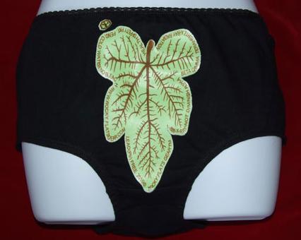 rocky flats gear fig leaf black brief 9