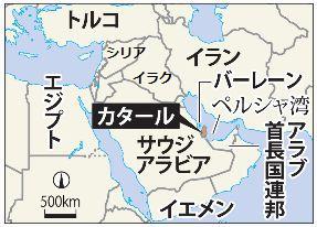 FireShot Webpage Screenshot #1059 - 'カタール