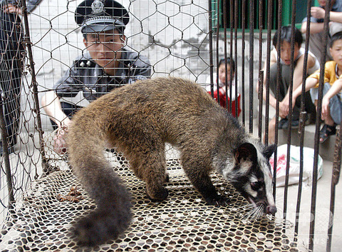 img_c49e535aaf412709251aa268c0316136417381