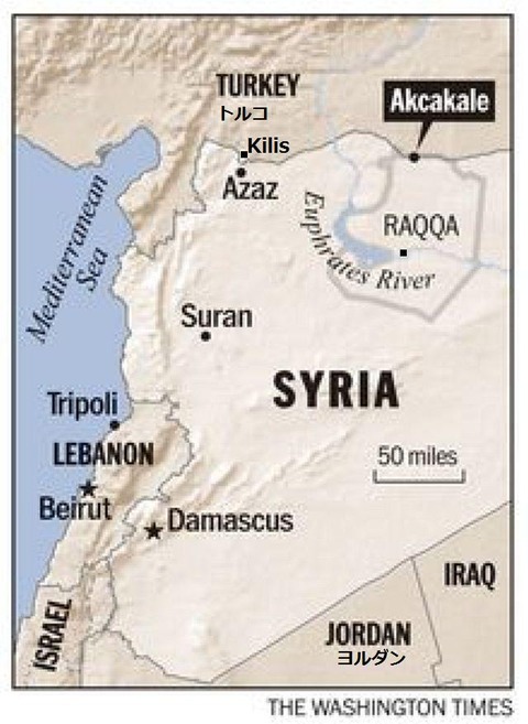 syria_1_s220x301