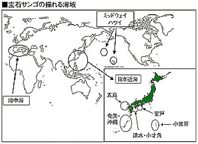 北の国から猫と二人で想う事　livedoor版                        nappi10