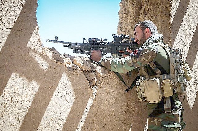 銃とサフランと同士討ち アフガン 北の国から猫と二人で想う事