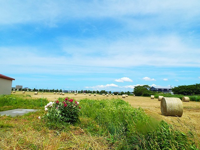DSCF7262