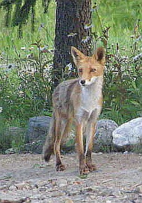 P6240548