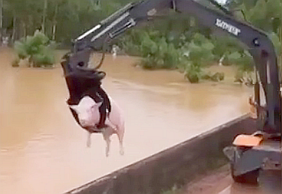 (4) China rescuers race to save thousands stranded