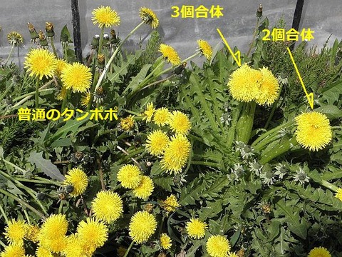 90cd65e2-s