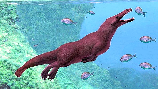 _106308924_053333005-1