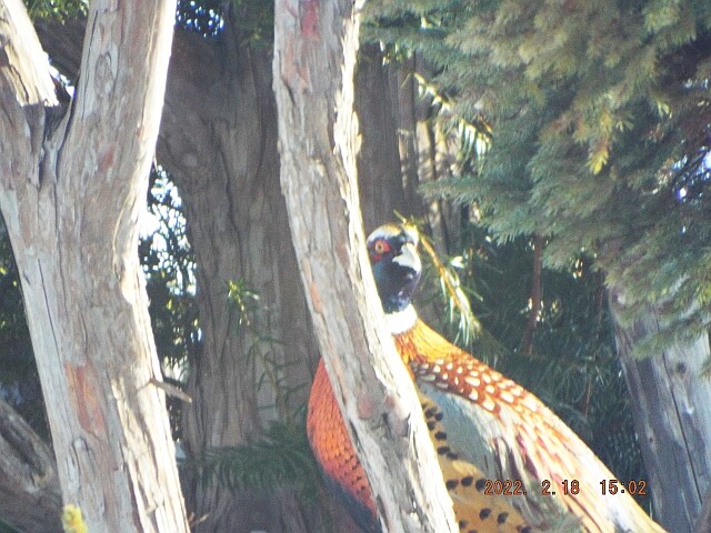 DSCF5876