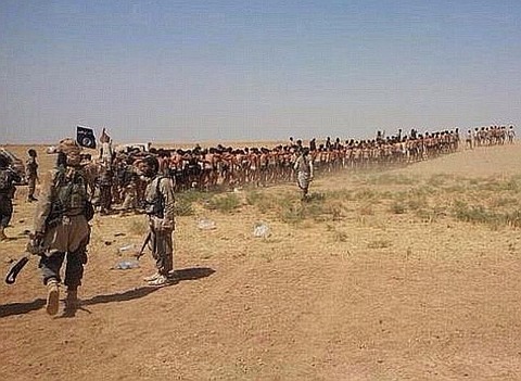 isis11