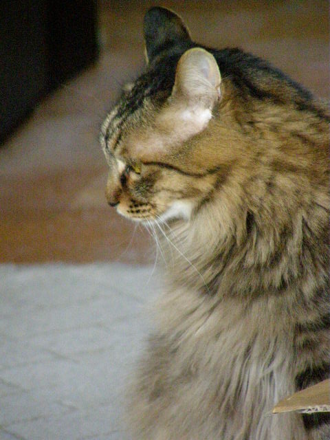 P3290015
