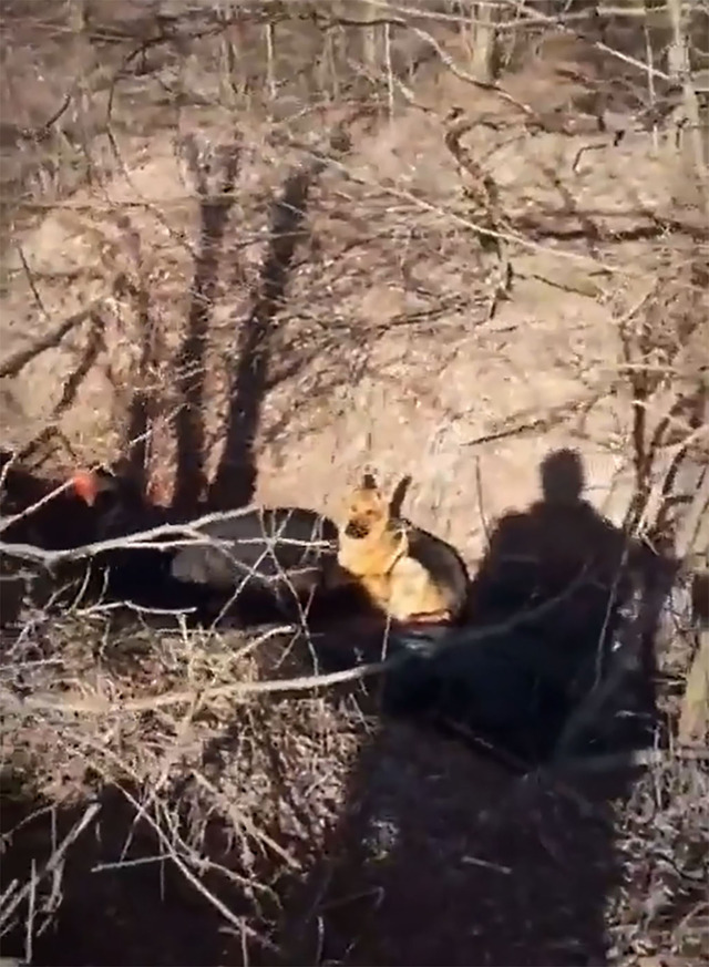 russia-ukraine-casualties-014