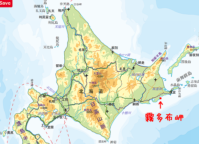 FireShot Capture 221 - 野生のラッコを