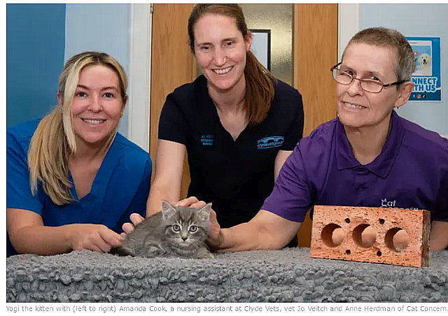 Lanark vet team comes to the