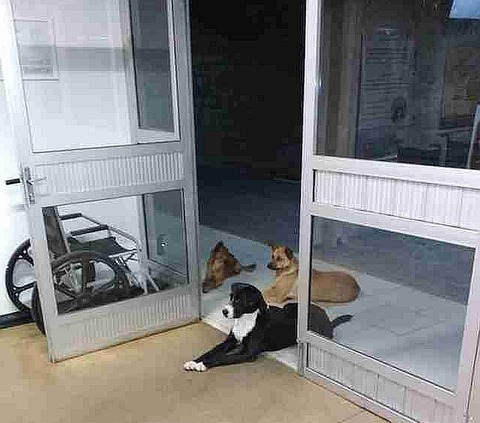 tmg-article_tall;jpeg_quality=20