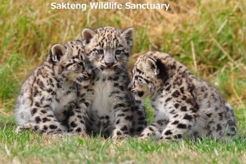 Basic-Facts-About-Sakteng-Wildlife-Sanctuary