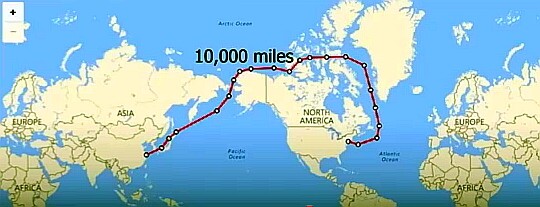 FireShot Capture 338 - なぜトランプとイーロンマスクはグリ