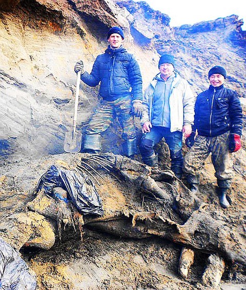 boy-finds-wooly-mammoth-3-510x600