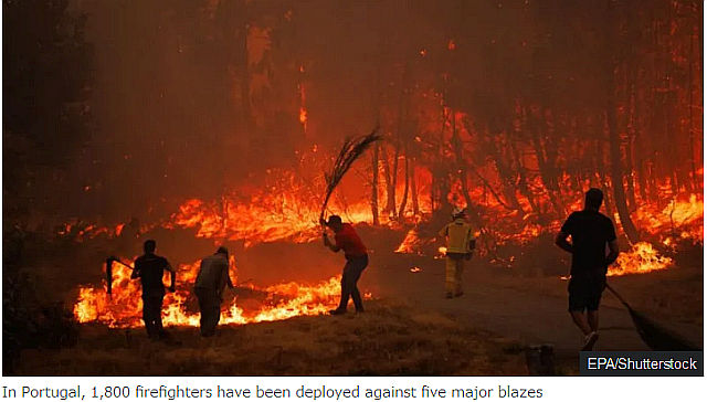 FireShot Capture 91 - Wildfire threatens m