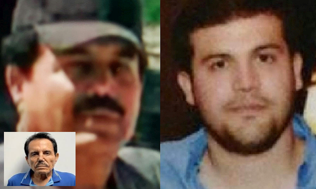 メキシコ麻薬組織で内