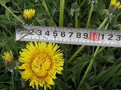 P5140037