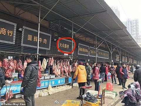 23723568-7915765-image-a-14_1579697183782