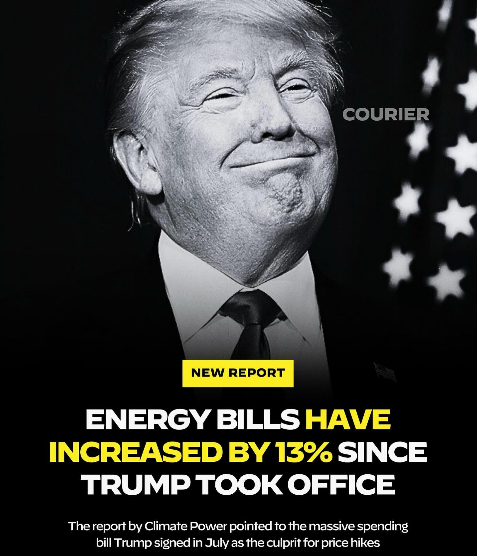 FireShot Capture 496 - Instagram - ht