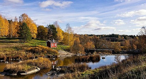 6643218_98 291 1555 1