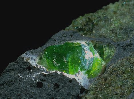 FireShot Webpage Screenshot (6)