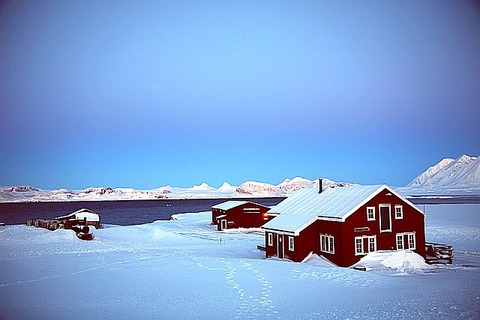 9267284e7733f4bec00d2e114d3f3ba1_XL