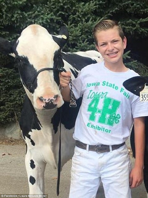 cow
