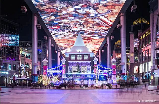 FireShot Webpage Screenshot #1578 - '100110000000pd560D317_