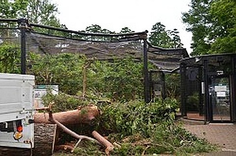 20120621k0000m040070000p_size5