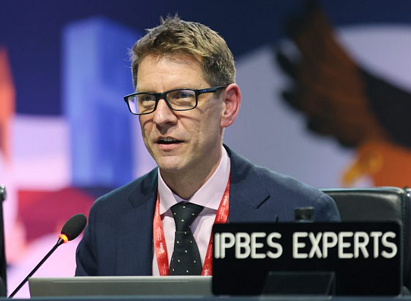 An introduction to the IPB