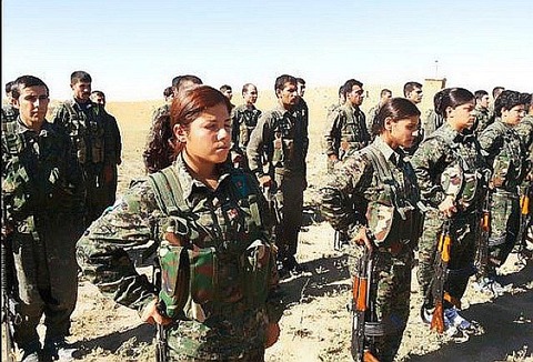 ypj