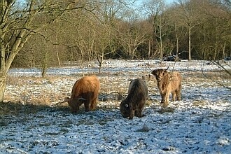 Broadham Down Kent Wildlife Trust