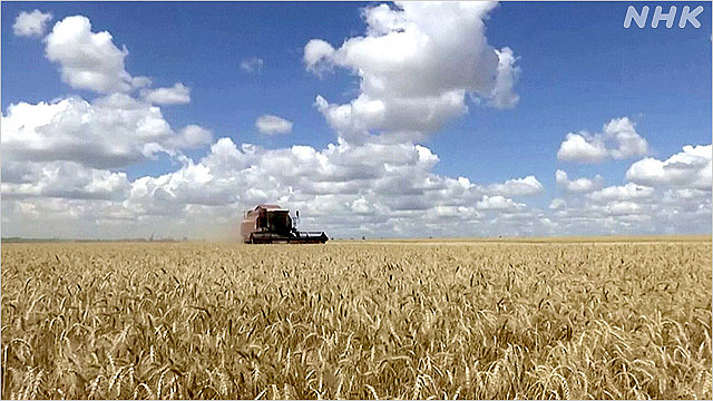 e8d0b4cc554078ded03fba7fd31f8599