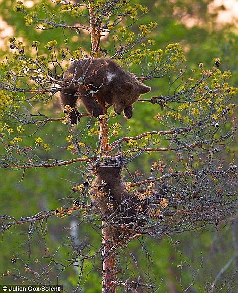 article-2018545-0D2735B300000578-963_468x577