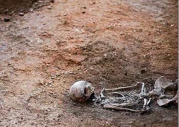 FireShot Webpage Screenshot #912 - 'Rare 'Shackled Skeleton