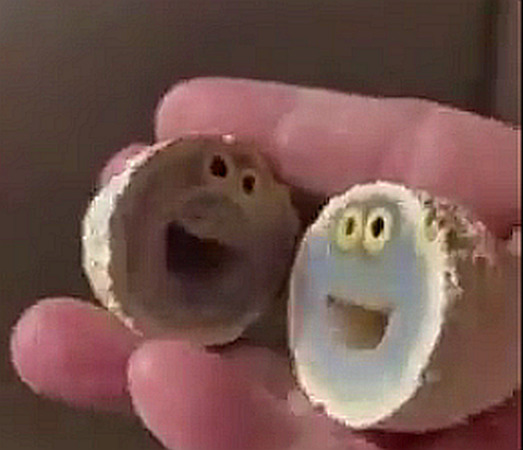 FireShot Webpage Screenshot #144 -