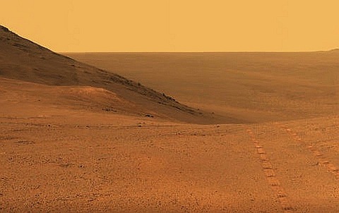 8218_image_2