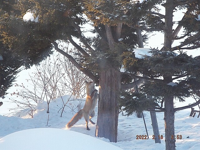 DSCF5863